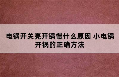 电锅开关亮开锅慢什么原因 小电锅开锅的正确方法